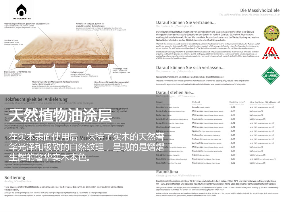 胜游亚洲·(中国区)官方网站