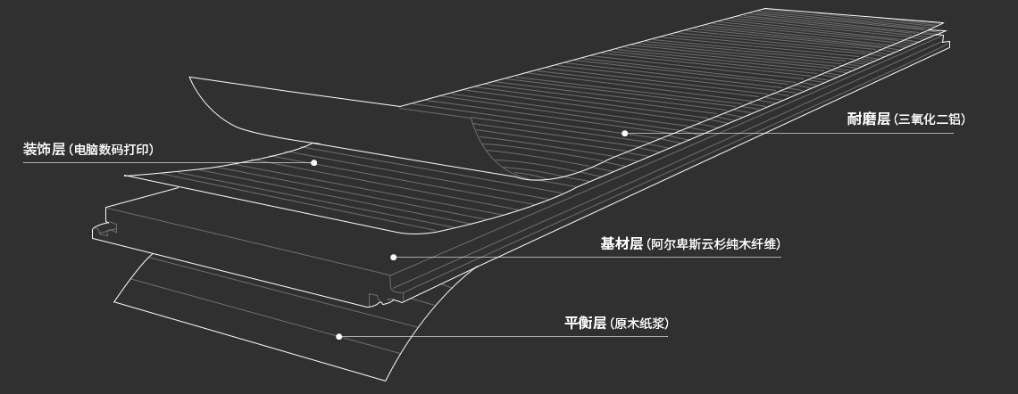 胜游亚洲·(中国区)官方网站